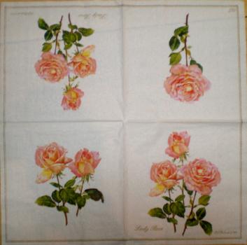 140 Roses - 3-ply (weiß) - Ihr